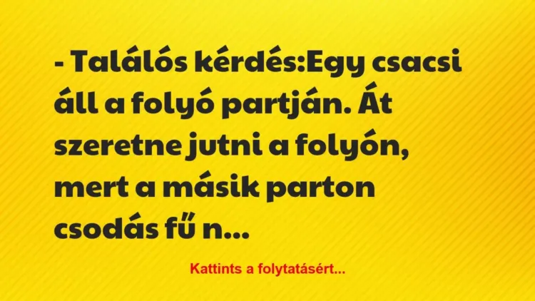 Vicc: – Találós kérdés:
Egy csacsi áll a folyó partján. Át szeretne jut… Vicc: – Találós kérdés:
Egy csacsi áll a folyó partján. Át szeretne jut…