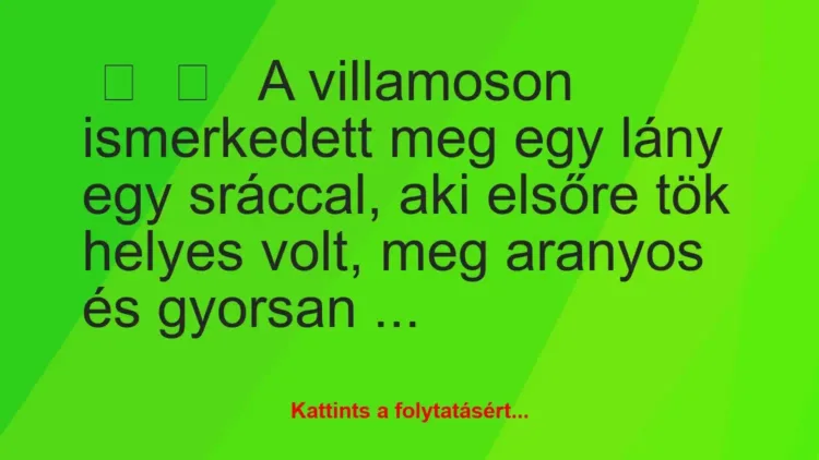 Vicces történet:
A villamoson ismerkedett meg egy lány … Vicces történet:
A villamoson ismerkedett meg egy lány …