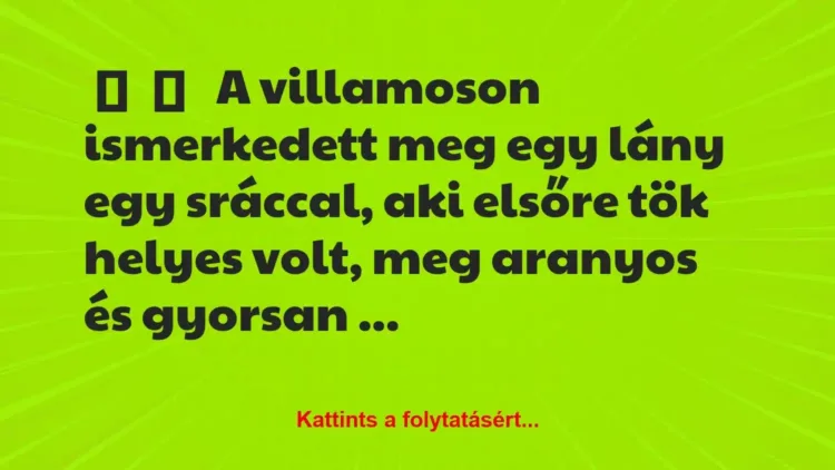 Vicces történet:
A villamoson ismerkedett meg egy lány … Vicces történet:
A villamoson ismerkedett meg egy lány …
