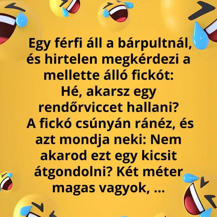 Vicc: A bárban egy zsarunak akart rendőrviccet mesélni