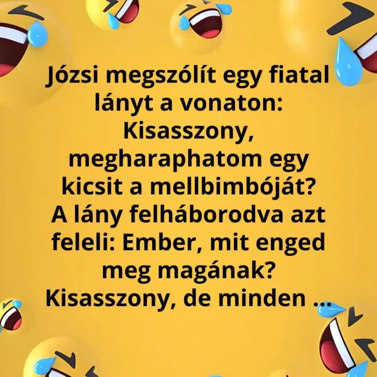 Vicc: A férfi meggyőz egy idegen lányt a vonaton, hogy