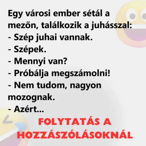 Vicc: Egy városi ember sétál a mezőn, találkozik a juhásszal Vicc: Egy városi ember sétál a mezőn, találkozik a juhásszal
