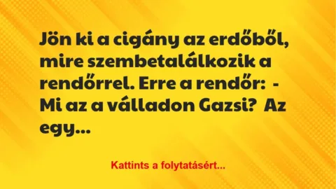 Vicc: Jön ki Gazsi az erdőből, mire szembe találkozik a rendőrrel.