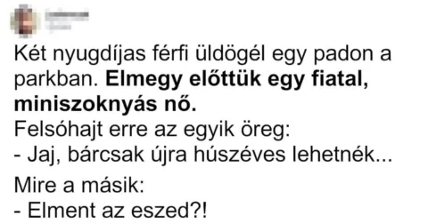 Vicc: Két nyugdíjas férfi üldögél egy padon