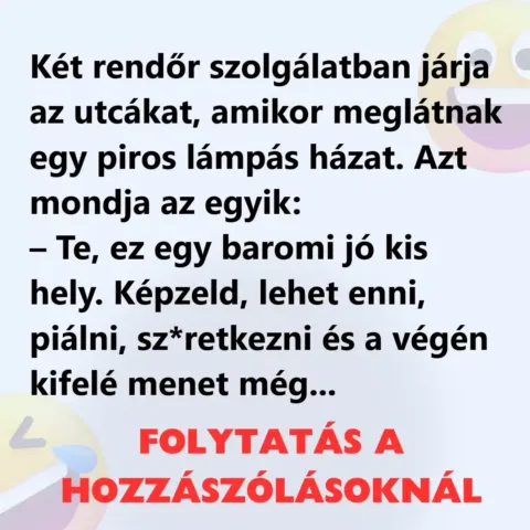 Vicc: Két rendőr szolgálatban járja az utcákat