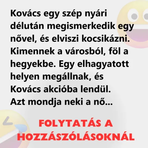 Vicc: Kovács egy szép nyári délután megismerkedik egy nővel, és elviszi…
