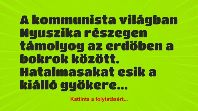 Vicc: A kommunista világban Nyuszika részegen támolyog az erdőben a bokrok… Vicc: A kommunista világban Nyuszika részegen támolyog az erdőben a bokrok…