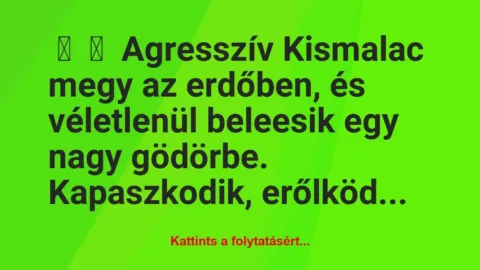 Vicc: 
	    	    Agresszív Kismalac megy az erdőben, és véletlenül beleesik …