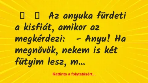 Vicc: 
	    	    Az anyuka fürdeti a kisfiát, amikor az megkérdezi:


-…