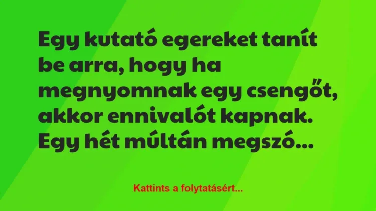 Vicc: Egy kutató egereket tanít be arra, hogy ha megnyomnak egy csengőt,… Vicc: Egy kutató egereket tanít be arra, hogy ha megnyomnak egy csengőt,…