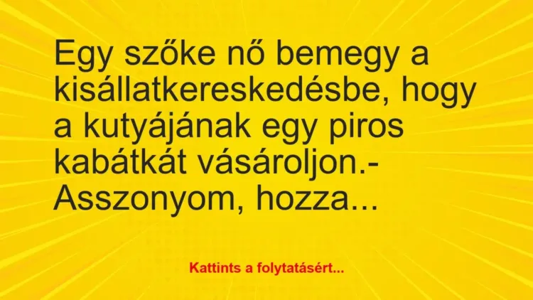 Vicc: Egy szőke nő bemegy a kisállatkereskedésbe, hogy a kutyájának egy… Vicc: Egy szőke nő bemegy a kisállatkereskedésbe, hogy a kutyájának egy…