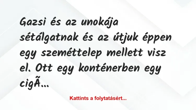 Vicc: Gazsi és az unokája sétálgatnak és az útjuk éppen egy szeméttelep… Vicc: Gazsi és az unokája sétálgatnak és az útjuk éppen egy szeméttelep…