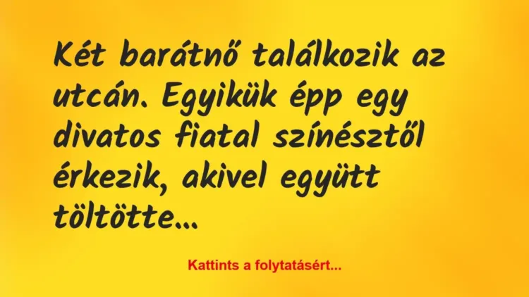 Vicc: Két barátnő találkozik az utcán. Egyikük épp egy divatos fiatal… Vicc: Két barátnő találkozik az utcán. Egyikük épp egy divatos fiatal…
