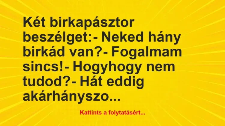 Vicc: Két birkapásztor beszélget:
– Neked hány birkád van?
-… Vicc: Két birkapásztor beszélget:
– Neked hány birkád van?
-…