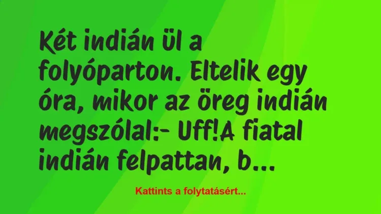 Vicc: Két indián ül a folyóparton. Eltelik egy óra, mikor az öreg indián… Vicc: Két indián ül a folyóparton. Eltelik egy óra, mikor az öreg indián…