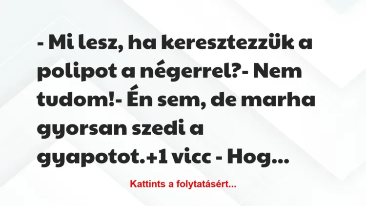 Vicc: – Mi lesz, ha keresztezzük a polipot a négerrel?
– Nem… Vicc: – Mi lesz, ha keresztezzük a polipot a négerrel?
– Nem…