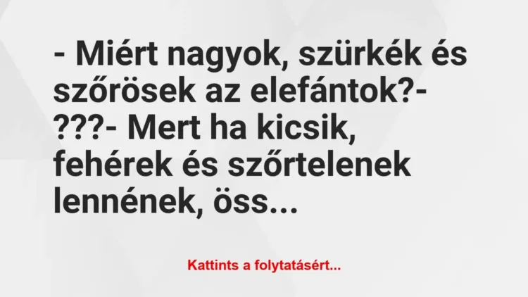 Vicc: – Miért nagyok, szürkék és szőrösek az elefántok?
– ???
-… Vicc: – Miért nagyok, szürkék és szőrösek az elefántok?
– ???
-…