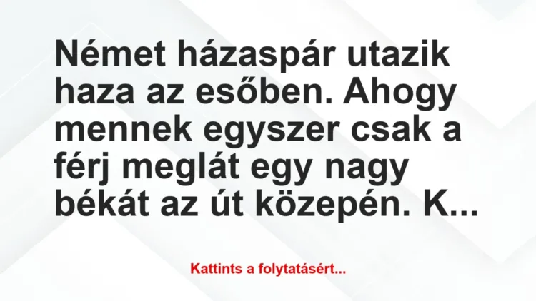 Vicc: Német házaspár utazik haza az esőben. Ahogy mennek egyszer csak a férj… Vicc: Német házaspár utazik haza az esőben. Ahogy mennek egyszer csak a férj…