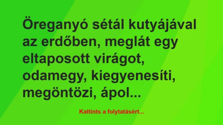 Vicc: Öreganyó sétál kutyájával az erdőben, meglát egy eltaposott virágot,… Vicc: Öreganyó sétál kutyájával az erdőben, meglát egy eltaposott virágot,…