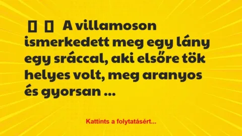 Vicces történet: 
	    	    


A villamoson ismerkedett meg egy lány …