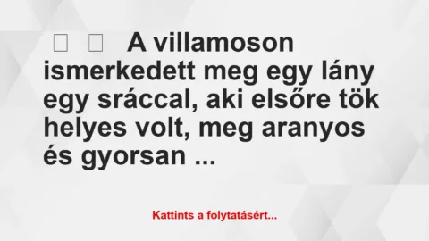Vicces történet: 
	    	    


A villamoson ismerkedett meg egy lány …