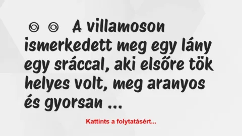 Vicces történet: 
	    	    


A villamoson ismerkedett meg egy lány …