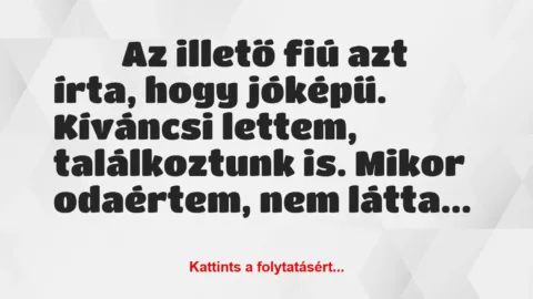 Vicces történet: 
	    	    


Az illető fiú azt írta, hogy jóképű….