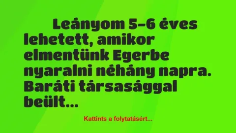 Vicces történet: 
	    	    


Leányom 5-6 éves lehetett, amikor…