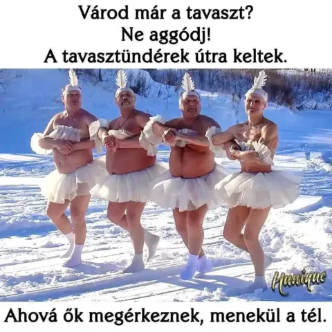 Vicces képek – 1738224007
