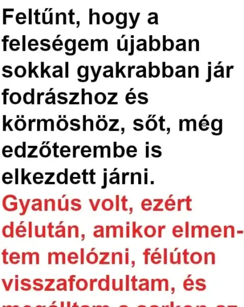 7 férj és feleség, akik humoruknál vannak 7 házaspár, akik humorral fűszerezik a mindennapokat