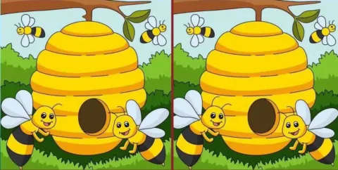 Egy igazi zseni vagy, ha megtalálod a 3 különbséget a
