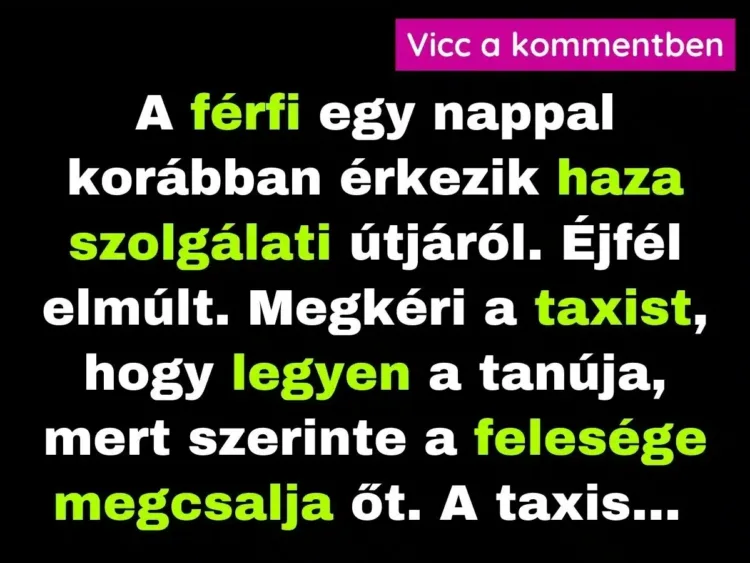 Vicc: A férfi a taxissal szeretne meggyőződni felesége hűségéről