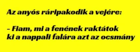Vicc: Az anyós ráripakodik a vejére: –