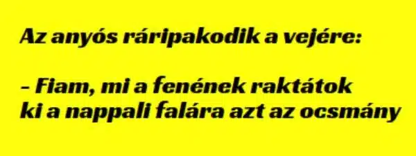 Vicc: Az anyós ráripakodik a vejére: - Vicc: Az anyós ráripakodik a vejére: –