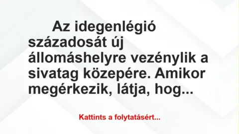 Vicc: Az idegenlégió századosát új állomáshelyre vezénylik a sivatag... Vicc: Az idegenlégió századosát új állomáshelyre vezénylik a sivatag…