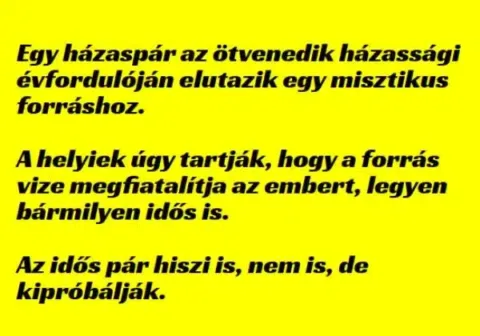 Vicc: Egy házaspár az ötvenedik házassági évfordulóján elutazik egy... Vicc: Egy házaspár az ötvenedik házassági évfordulóján elutazik egy…