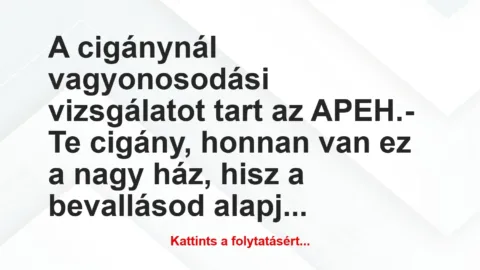 Vicc: A cigánynál vagyonosodási vizsgálatot tart az APEH.

– Te cigány,…