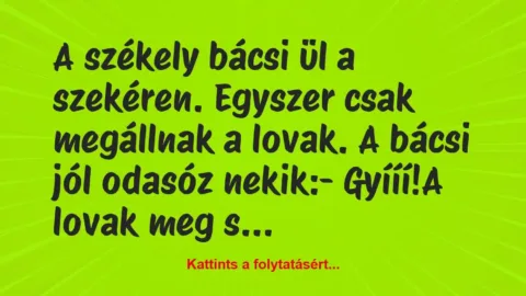 Vicc: A székely bácsi ül a szekéren. Egyszer csak megállnak a lovak. A bácsi…
