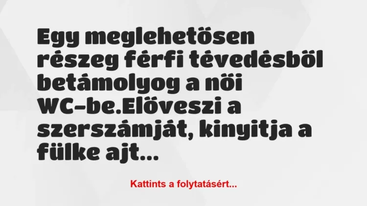 Vicc: Egy meglehetősen részeg férfi tévedésből betámolyog a női… Vicc: Egy meglehetősen részeg férfi tévedésből betámolyog a női…