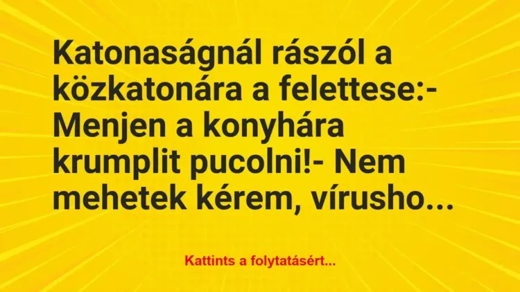 Vicc: Katonaságnál rászól a közkatonára a felettese:
– Menjen a… Vicc: Katonaságnál rászól a közkatonára a felettese:
– Menjen a…