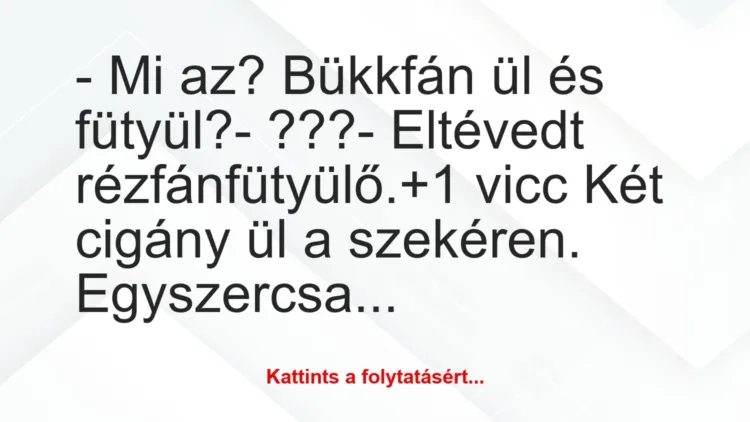 Vicc: – Mi az? Bükkfán ül és fütyül?
– ???
– Eltévedt… Vicc: – Mi az? Bükkfán ül és fütyül?
– ???
– Eltévedt…