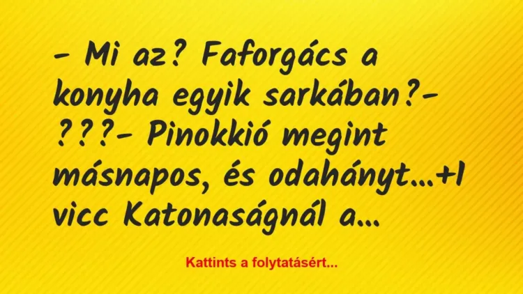 Vicc: – Mi az? Faforgács a konyha egyik sarkában?
– ???
– Pinokkió… Vicc: – Mi az? Faforgács a konyha egyik sarkában?
– ???
– Pinokkió…