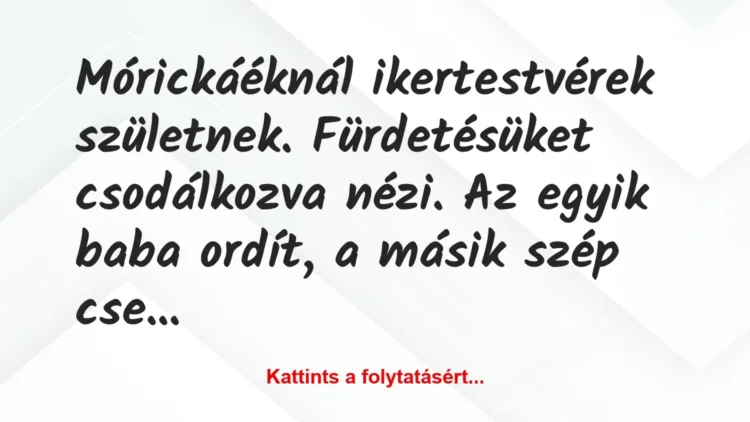 Vicc: Mórickáéknál ikertestvérek születnek. Fürdetésüket csodálkozva nézi…. Vicc: Mórickáéknál ikertestvérek születnek. Fürdetésüket csodálkozva nézi….