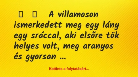 Vicces történet: 
	    	    


A villamoson ismerkedett meg egy lány …
