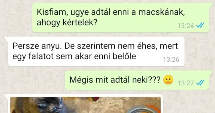 16 szófogadó gyerek, aki mégis kijátssza a szabályokat 16 ravasz gyerek, aki trükkösen játszik ki a szabályokat