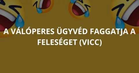 Vicc: A válóperes ügyvéd faggatja a feleséget
