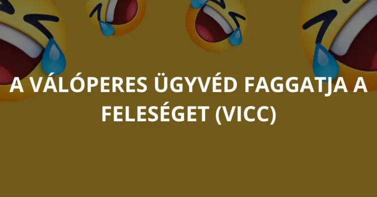 Vicc: A válóperes ügyvéd faggatja a feleséget Vicc: A válóperes ügyvéd faggatja a feleséget