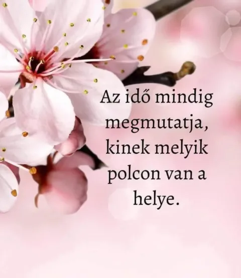 A hozzászólás lehetőségét kikapcsolták ennél a bejegyzésnél.