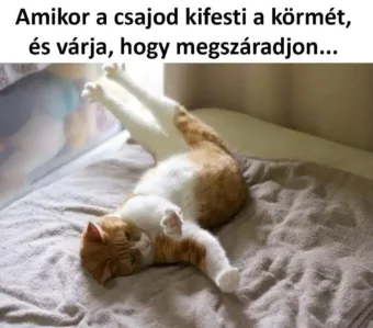 ]