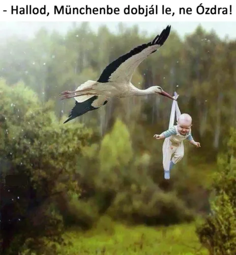 ]